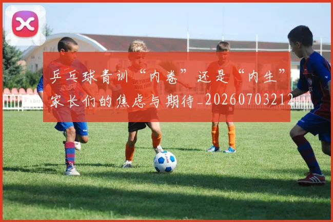 乒乓球青训“内卷”还是“内生”家长们的焦虑与期待_20260703212309