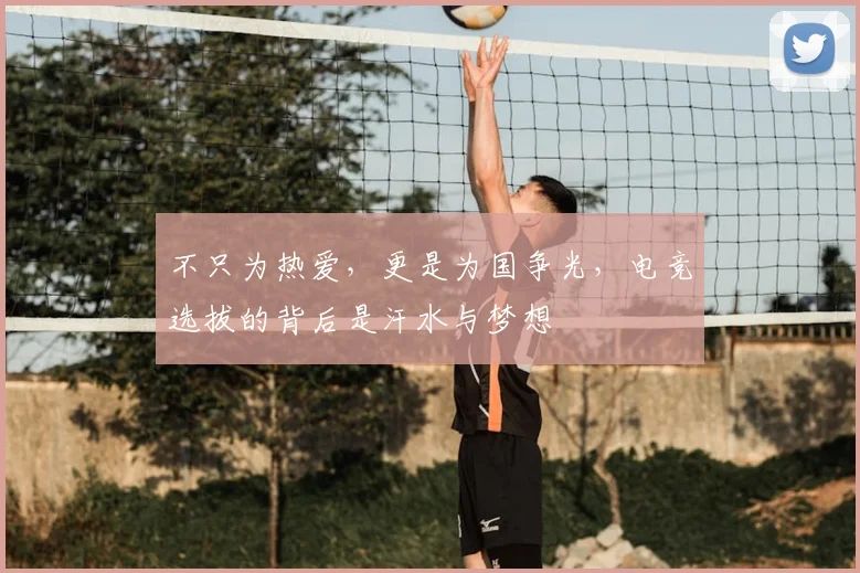 不只为热爱，更是为国争光，电竞选拔的背后是汗水与梦想