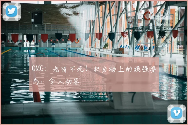 OMG：老将不死！积分榜上的顽强姿态，令人动容